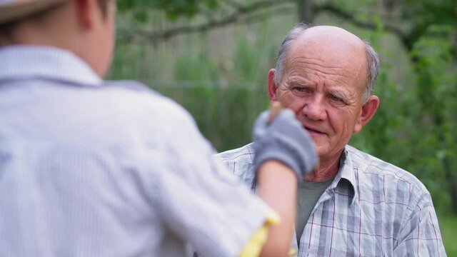 farming, elderly beekeeper and his grandson paint with brush wooden hives for bees during summer season in garden on warm day