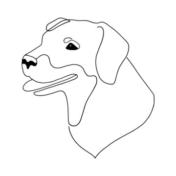 recommend clip art: Isolated vector portrait of a rottweiler dog, line art style