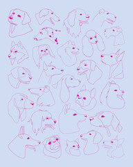 Set with isolated vector portraits of different dog breeds, line art style