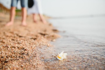 happy mother with son walk on beach, family at sea