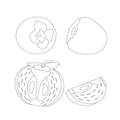 Vector outline illustration of persimmons from different sides and sections.