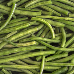 Haricot vert 