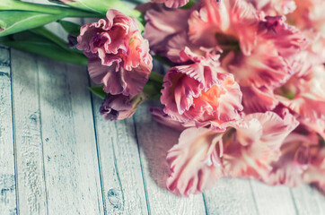 Gladiolus powder color ash pink on a gray textured wooden background.