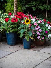 Naklejka premium In The Garden With A Kindle