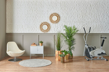 Sport room interior concept, chair botanic plant and mirror style with bike.
