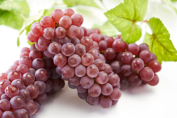 葡萄デラウェアの実を白バックで
