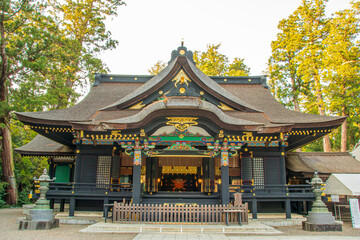 Obraz premium chinese temple in the park