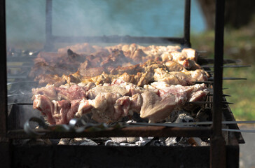 Grilled on barbecue pieces of fresh meat on sticks on coals outside