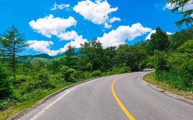 夏の志賀草津道路（草津道路側）