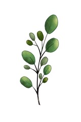 green leaves isolated on white background