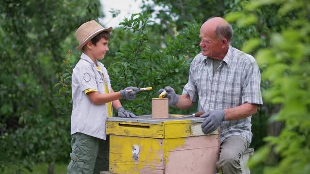 beekeeping, caring grandson together with his grandfather, paints bee hive in garden among trees with brush