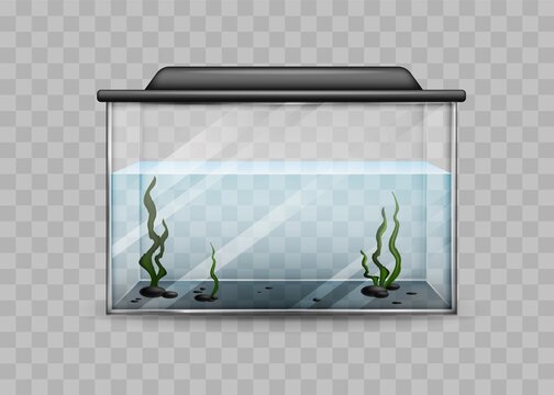 Empty Fish Tank Images – Browse 6,742 Stock Photos, Vectors, and Video