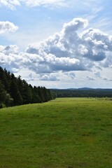 Fototapeta na wymiar A green field under a cloudy sky, Québec, Canada