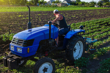 A farmer is cultivating a potato plantation. Young potatoes bushes Agroindustry and agribusiness....
