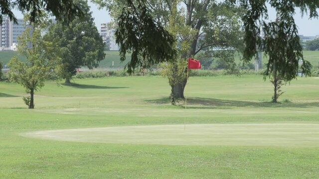 風が吹き抜ける夏のゴルフ場　荒川河川敷　川口市