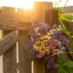beautiful bouquet of flowers stands on nature. sun and flowers. wildflowers at sunset
