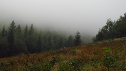 Las we mgle, Kowary Polska