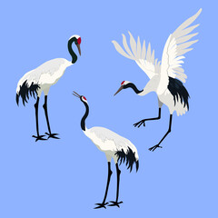 Set of Vector illustration with Japanese cranes on an isolated background.