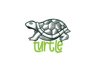 Turtle logo graphic design concept. Editable sea turtle element, can be used as logotype, icon, template in web and print