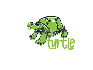 Turtle logo graphic design concept. Editable sea turtle element, can be used as logotype, icon, template in web and print