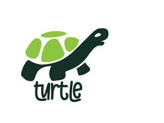Turtle logo graphic design concept. Editable sea turtle element, can be used as logotype, icon, template in web and print