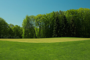 Fototapeta na wymiar Picturesque view of golf course with fresh green grass and trees