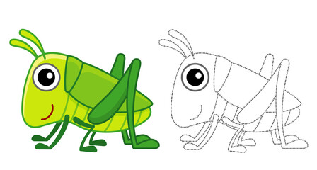 Coloring Insect for children coloring book. Funny grasshopper in a cartoon style. Trace the dots and color the picture