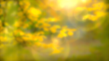 abstract background with blurry bokeh illustration and yellow leaves