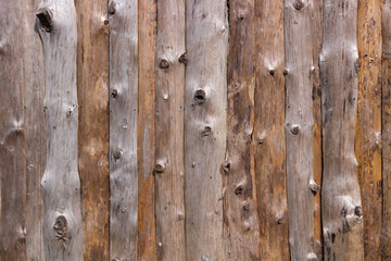 Wooden fence with large number knots