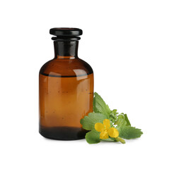 Bottle of celandine tincture and plant on white background