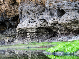 the texture of the cliff on the beach is one of the most beautiful art, perfect for the background