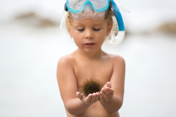 Cute child, blond toddler boy, holding sea urchin on the beach