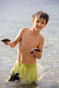 Preteen child, hodling mediterranean sea cucumber