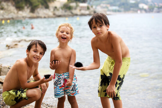 Cute child, blond toddler boy, holding sea urchin on the beach