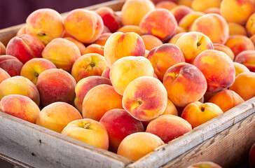 Fresh Yellow Peaches at a Local Farmer's Market