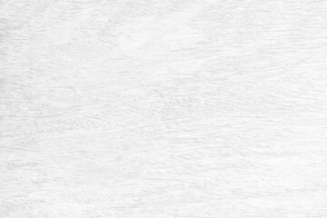 Light white color wood pattern surface or Rough wood grain for texture and copy space in design background