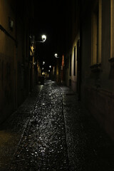 Strade e portici notturni di Modena