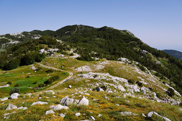 Fototapeta na wymiar View of the mountains covered with forest, grass and stones