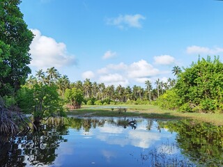 Fototapeta na wymiar Kalpitiya Lagoon Sri Lanka 