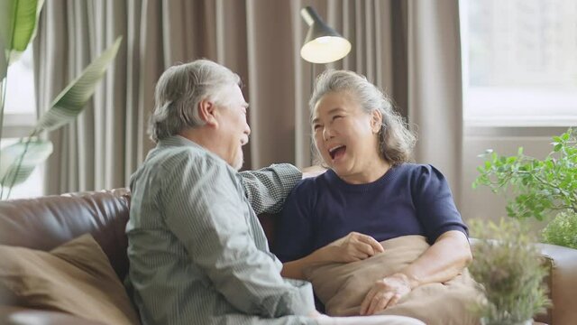 old senior asian retired couple enjoy talking conversation together on sofa with happiness laugh smile and joyful at home,asian old mature adult stay home quarantine period concept