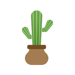 Cactus icon design template vector isolated