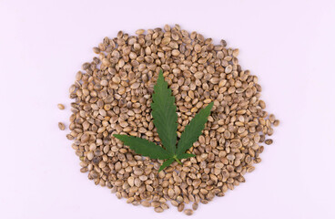 Hemp seeds with hemp leaves on a white background.
View from above.