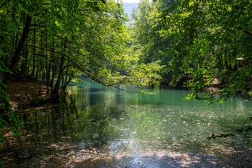Fototapeta na wymiar A view of Yedigoller (Seven lakes) National Park near Bolu, Turkey. Yedigoller consists of several interconnected lakes, camping sites, waterfalls, creeks and is surrounded by a thick forest.