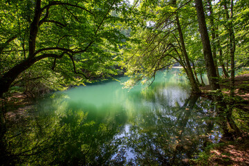 A view of Yedigoller (Seven lakes) National Park near Bolu, Turkey. Yedigoller consists of several interconnected lakes, camping sites, waterfalls, creeks and is surrounded by a thick forest.