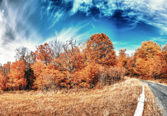 Panoramic view of foliage in New England. Road and trees on a beautiful autumn day