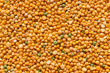 Dry split green and yellow peas texture background. Great for soups.	