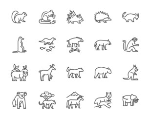 Set of wildlife animal outline icon set