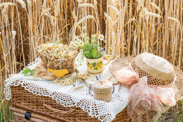 Fototapeta na wymiar Picnic suitcase with crocheted tablecloth, white currants in braided basket, flowers in metal cup decorated with white currants picture , straw hat with ribbon on wicker suitcase