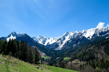 Fototapeta premium A panoramic view on Baeren Valley in Austrian Alps. The highest peaks in the chain are sonw-capped. Lush green pasture in front. A few trees on the slopes. Clear and sunny day. High mountain chains.