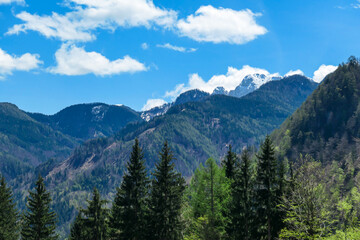 A panoramic view on Baeren Valley in Austrian Alps. The highest peaks in the chain are snow-capped. Lush green pasture in front. A few trees on the slopes. Clear and sunny day. High mountain chains.